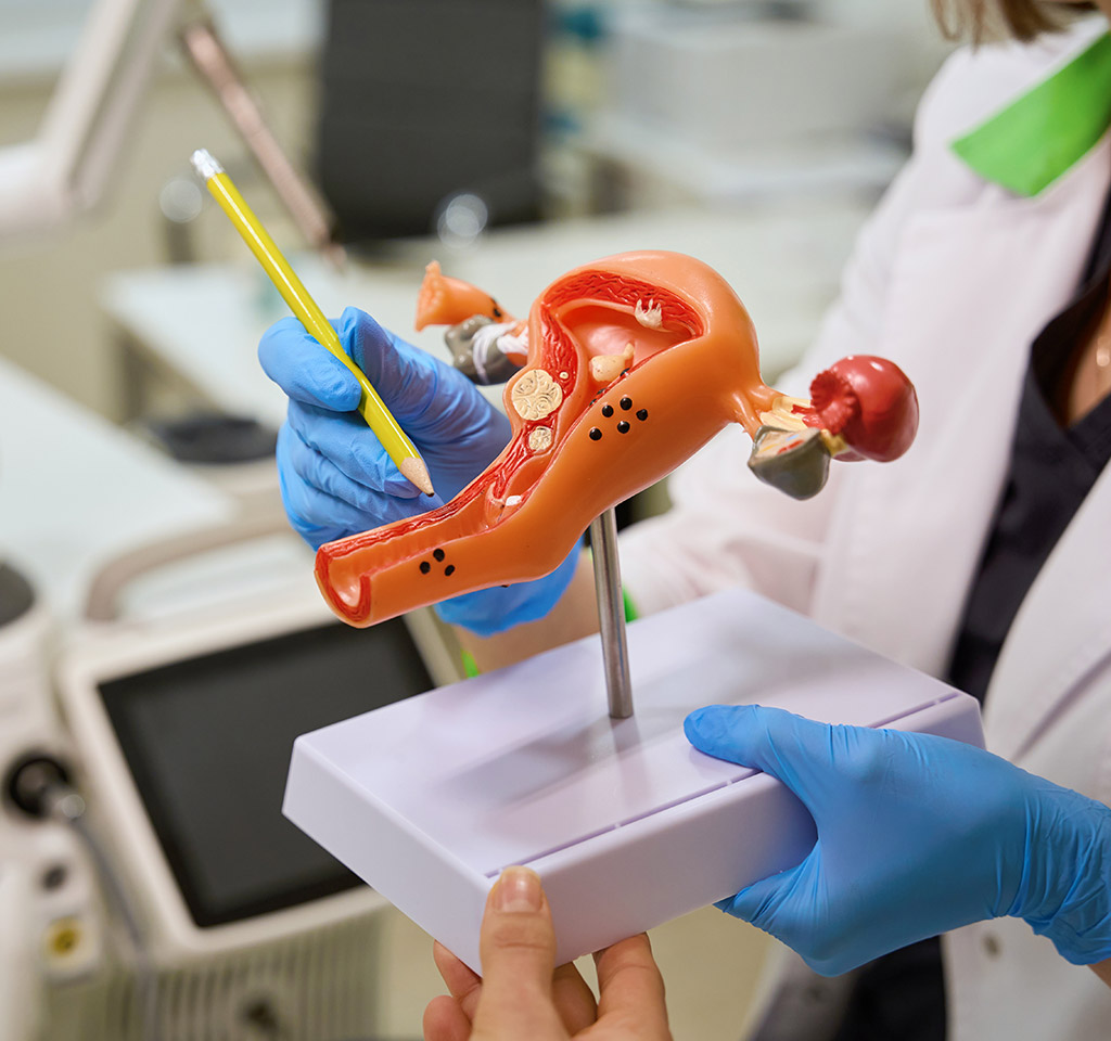 how much is a labiaplasty